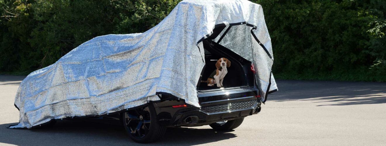 Schattennetz Hund Auto RAVE