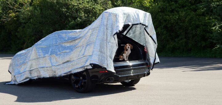 Schattennetz Hund Auto RAVE