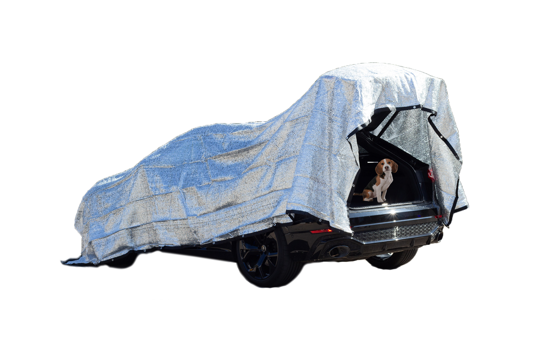 RAVE Schattennetz Sonnensegel Sonnenschutz für Auto, Hund & Camping, Hitzeschutz aus Aluminium, 4x6 Meter (24m²)